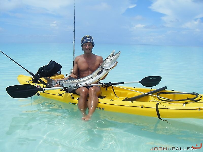 Bahamas Cuda