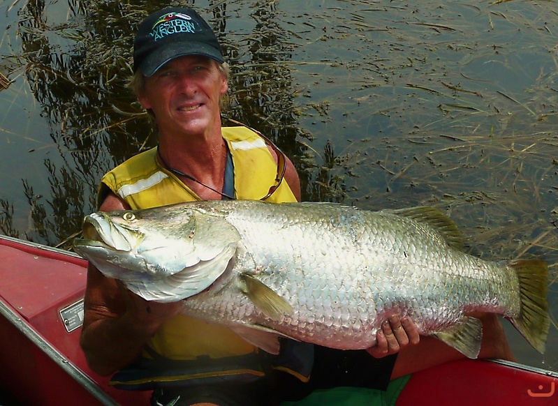 Barramundi