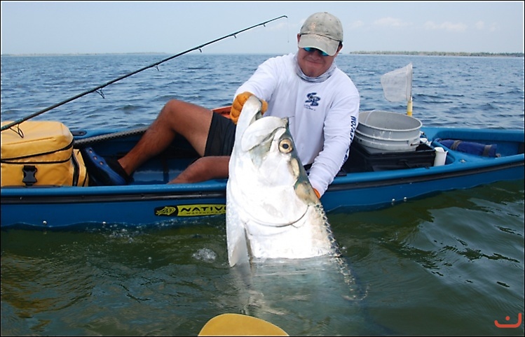 Big Tarpon