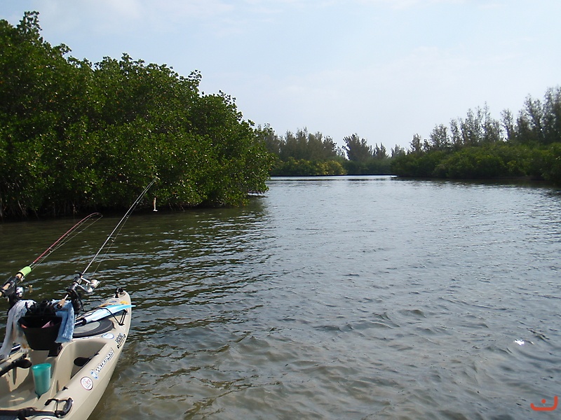 Indian River Lagoon Florida_2