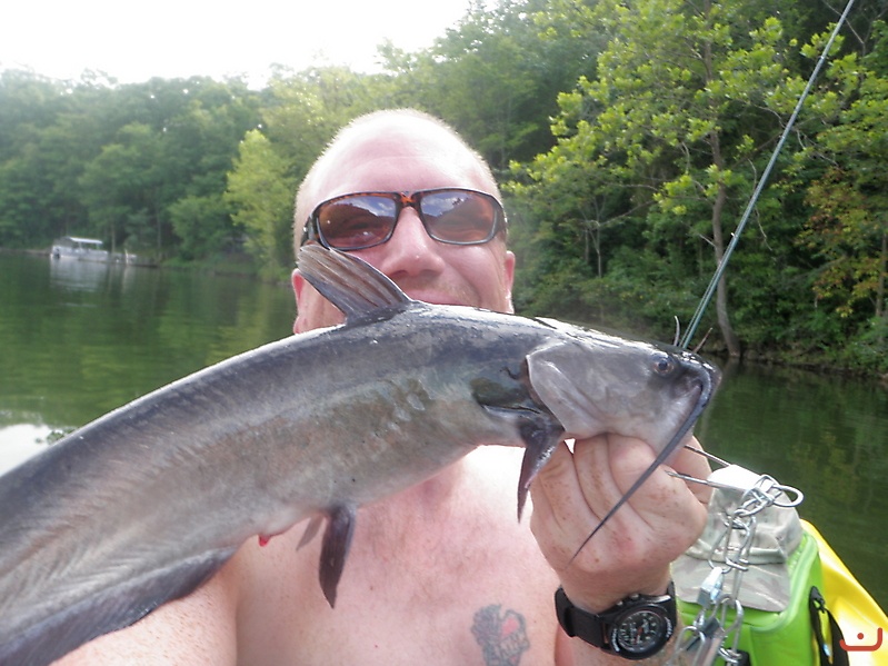 Catfish from Kayak in Missouri_1