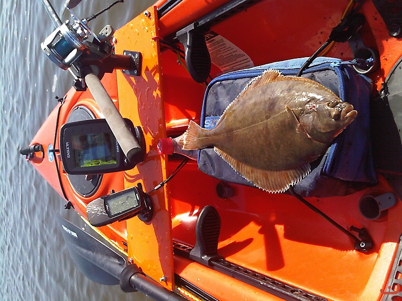 3D s Flounder Lougher Estuary SWKA Dec meet 2009_2