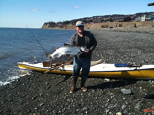 King Salmon - Kachemak Bay, Alaska_1